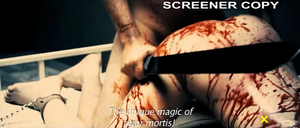 A Serbian Film Skull Fuck - A Serbian Film |