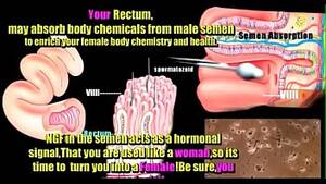 anatomy shemale porn - anatomÃ­a transexual - XVIDEOS.COM
