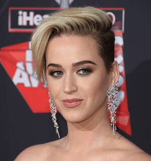 Anal Fucking Katy Perry - Dlisted | Katy Perry Looks For Hot Pictures Of Herself When She Wants To  Feel Better About Herself