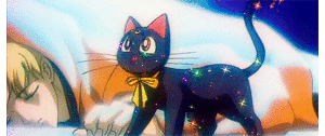 Cat Sailor Moon Porn - capturing-sailormoon: Sailor Moon Appreciation Month Day 06: Luna Tumblr  Porn