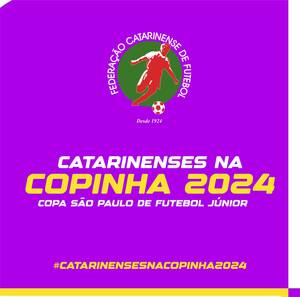 M%c3%a9xico - Catarinenses disputam a segunda fase da Copinha - FederaÃ§Ã£o Catarinense de  Futebol