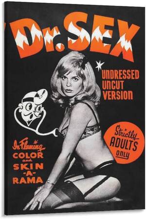 art vintage adult porn - Amazon.com: 1964 Dr. Sex Vintage Adult Film Movie Art Sex Porn Poster  Canvas Print Wall Art Poster Modern Painting, Sex Art Poster Modern  Painting Canvas for Men Bedroom Basement Garage Poster 24x36inch(60x90cm):