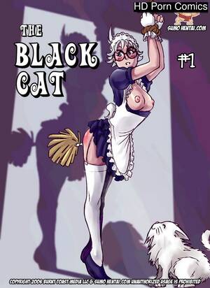 Black Mom Cat - The Black Cat 1 Sex Comic | HD Porn Comics