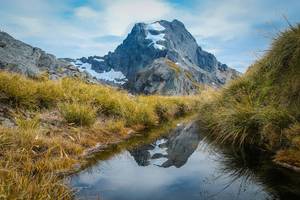 New Zealand Nature Porn - Active volcanoes, snow-capped mountains, rugged coastlines, and lush  rainforest cover the entirety of New Zealand. This magical place remains  one of our ...