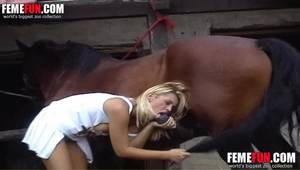 chicks sucking face - Horse cums on girls face in a series of zoophilia cock sucking porn scenes