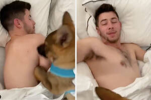 Nick Jonas Nude Porn - Priyanka Chopra Surprised A Shirtless Nick Jonas With A Puppy For Their  Anniversary