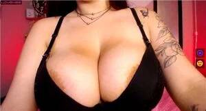 big tits shelf - Shelf Bra Tits Big Tits Porn - shelf & bra Videos - SpankBang