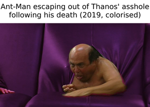 Ant Man Porn Captions - Does this count as a spoiler : r/dankmemes