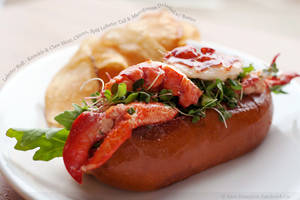 claw - Lobster Roll – Knuckle and Claw Meat, Chives, Split Lobster Tail
