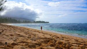 erection at nude beach in hawaii - Polo Beach, Oahu : r/Beachporn