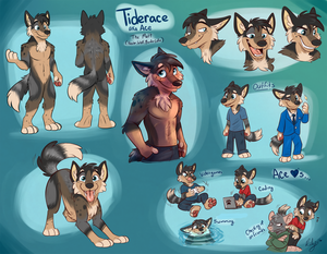 Furry Feral 2016 - 71163 - safe, artist:rileyy, oc, oc only, oc:tiderace, border collie,  canine, dog, hybrid, mammal, rodent, wolf, wolfdog, anthro, digitigrade  anthro, feral, 2016, abstract background, barefoot, black body, black fur,  black hair, bottomwear,