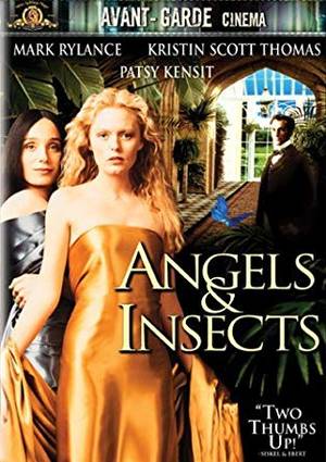 Insect Porn Anthropology - Angels & Insects