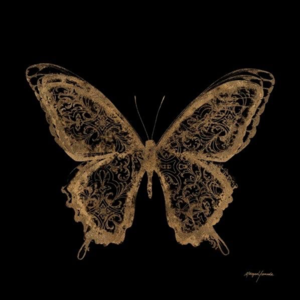 chick lepidoptera - kitchen counter Tumblr Porn