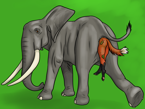 Elephant Butt Sex - Rule 34 - 2015 absurd res ambiguous gender anal anal insertion anal sex anal  vore anthro anus ass canine duo elephant feces feral fox full tour fur hi  res insertion lionsilverwolf mammal