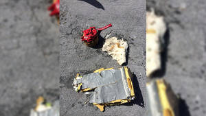 Bahamian School Porn - Plane crash debris near Bahamas matches missing plane of CEO and two kids -  CBS News