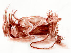 Noah Diver Porn - BOMB Magazine | Noah Ross's The Dogs