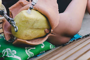 Furry Porn Real Doll - Made to be life like, made to look real, made for your loser uncle to  fornicate with. Made to be destroyed.