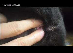 black cat finger - Black Cat Finger | Sex Pictures Pass
