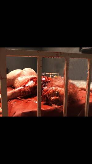 A Serbian Film Skull Fuck - Film Review: A Serbian Film | Horror Amino