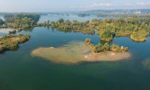 exhibitionist nude beach - Flasher, 46, shot dead 'by nudist, 76, with rifle' after pleasuring himself  in front of naked woman on naturist beach | The US Sun