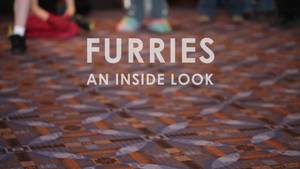 Furry Convention Extreme Adult Porn - Furries: An Inside Look