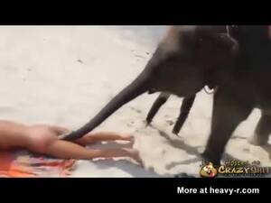 girl takes elephant dick - Elephant Vacuums Sand Out Of Pussy