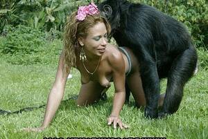 Monkey Fucks Girl Porn - Women Fuck With Monkey Fuck And Sex Pictures | Hot Sex Picture