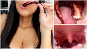 Mouth Fetish Porn - INCLUDES: Chewing, Eating, Food, Vore, Mouth Fetish, Tongue Fetish, Uvula  Fetish, Swallowing.