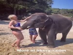 girl takes elephant dick - Elephant Tapping Girls Big Ass