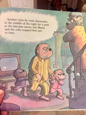 Berenstain Bears Porn - The Berenstain Bears and Too Much Porn : r/funny