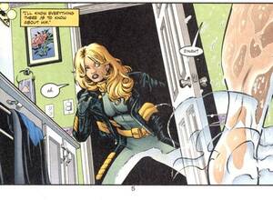 Black Canary Dc Comics Porn - Nightwing vol 2, #56) Apparently Black Canary doesn't understand boundaries  (semi-NSFW) : r/DCcomics