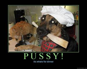 Demotivational Pussy - PUSSY! It's what's for dinner