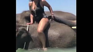 3d Elephant Sex Porn - 3d elephant - free Mobile Porn | XXX Sex Videos and Porno Movies -  iPornTV.Net