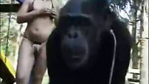 Man Fucks Monkey - blonde have sex with her lovely monkey