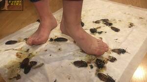 Madagascar Porn Barefoot - AZRTMG â€“ Melody's Barefoot Roach Massacre - EVERYGIRL CRUSH