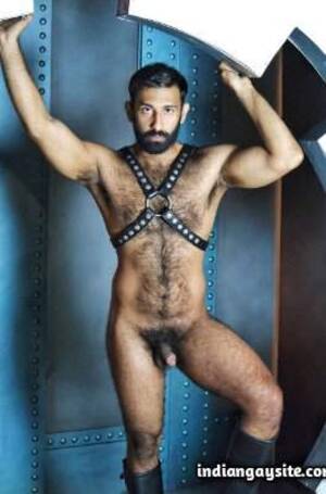 Hairy Gay Porn Bondage - Naked hairy bear in leather harness - Indian Gay Site