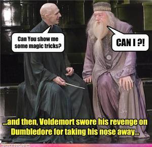 Harry Potter Voldemort - Harry Potter Vs. Twilight images Voldemort Funnies XD wallpaper and  background photos
