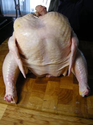 Chicken - Chicken porn. Nice breasts.
