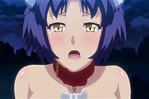 anime furry hentai - Watch furry hentai - Furry, Furry Hentai, Hentai Porn - SpankBang