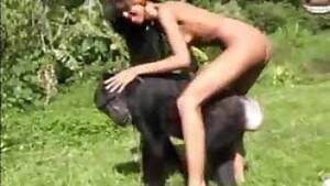 Monkey Sex With Humans - monkey Animal Porn