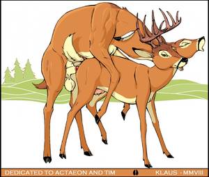 Deer Having Sex - e621 anatomically_correct animal_genitalia animal_penis antlers balls  cervine cervine_penis deer duo erection eyes_closed female feral  feral_on_feral hi_res