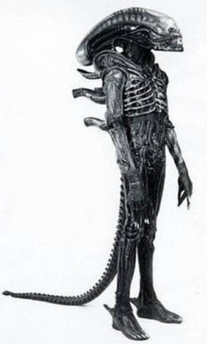 Alien Pussy Hugger Xenomorph Hentai - TIL that HR Giger changed his original Alien egg design based on concerns  that Catholic countries may ban the film as the original egg opening  suggested a vagina. He changed it to