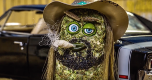 Billy Ray Cyrus Pornhub - Billy Ray Cyrus Plays Animated Pot Bud in 'Angel in My Pocket' Video