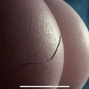 norway nude beach clips - A sexshop in Norway, one of the most famous in the world, turned 30 and  decided to make a celebratory commercial. But how to advertise this  business without nudity, without presenting your