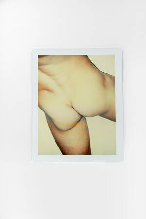 1960s Sex Polaroid - Andy Warhol - Polaroid Photograph from the 'Sex Parts and Torsos' Series  For Sale at 1stDibs | warhol torso series