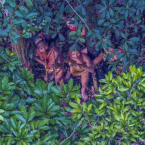 brazil forest naked beach - A massacre of Amazon tribespeople? The search for evidence goes on | Global  development | The Guardian