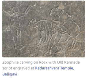 Bestiality Religion Porn - What are your thoughts on bestiality/zoophiles? : r/debatemeateaters