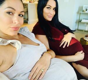 Brie Bella - WWE's Bella twins used to pay the bills at Hooters â€“ now they're worth $12m  and own matching LA mansions & lingerie line | The Irish Sun