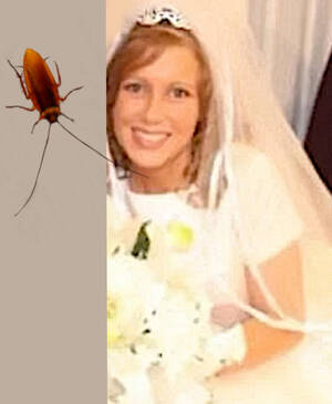 Honeymoon Plus One - Anna before the honeymoon vs. after...plus one of my fav pics of Pest! :  r/DuggarsSnark