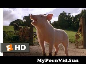 Babe Pig Movie Porn - Babe (3 9) Movie CLIP - Christmas Means Carnage (1995) HD from babe 1 Watch  Video - MyPornVid.fun